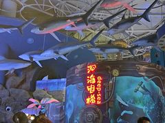 -烟台海昌鲸鲨海洋公园