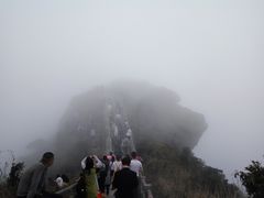 -银瓶嘴森林公园