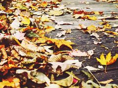 -丹东天桥沟景区