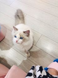 -Beauty Nails 美甲美睫皮肤管理