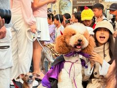 -华谊兄弟（长沙）电影小镇