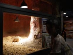 -酷嗒动物文化乐园(cutezoo西溪乐天城店)