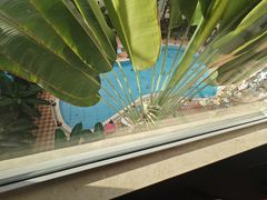 -兴芮温泉度假区