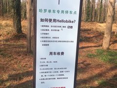 -黄海国家森林公园