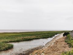 -南汇嘴观海公园