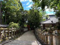 -奈良公园