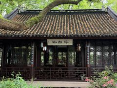 -上海醉白池公园