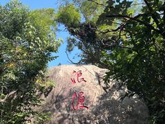 -野狸岛