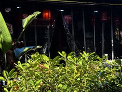 -国生茶庄·地道农家菜团建活动