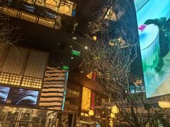 -桂满陇·海市蜃楼·黑金(国金店)