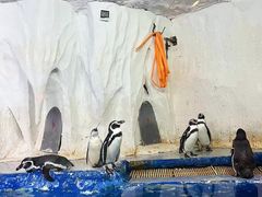 -太平洋海底世界