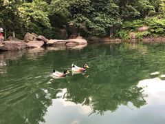-白马涧龙池景区