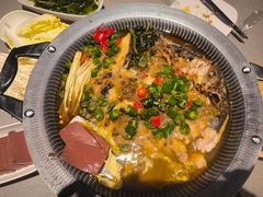 -半天妖烤鱼(绿地大融城店)