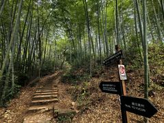 -莫干山风景区