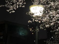 -老街·稳拈老火锅(海椒市店)