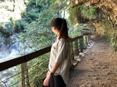 -太鲁阁公园