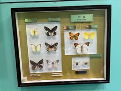 -上海昆虫博物馆