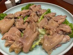 -丁老爷子苏香圆