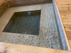 -中家鑫园温泉酒店鑫悦汤泉