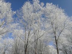 -长白岛森林公园