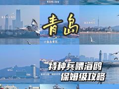 -青岛奥林匹克帆船中心