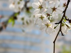 -徐家汇源景区-衡山公园