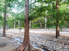 -白水寺森林公园
