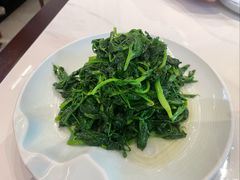 清炒鸡毛菜-峨嵋酒家(德内店)