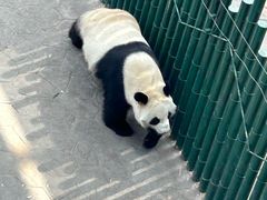 -沈阳森林动物园
