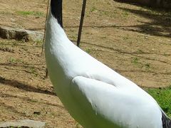 -日照海滨国家森林公园