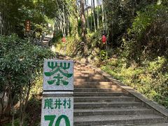 -龙井村