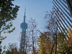 -新天世纪中餐厅