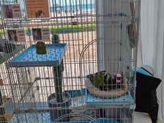 -猫的天空之城概念书店(北戴河蔚蓝海岸店)