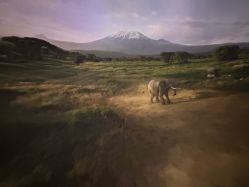 -翱翔飞越地平线