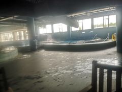 -晋爵会游泳馆(海湾公园店)