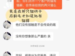 -喵百万·布偶·蓝金金渐层英短·猫舍(百子湾店)