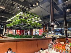 -猫爪爪原切自助烤肉(观音桥阳光世纪店)