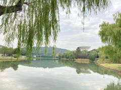 -上海佘山世茂艾美酒店