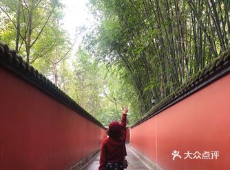 去年去的武侯祠了，真的很美