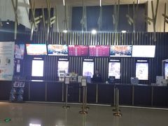 -金逸影城(武汉人信汇IMAX店)