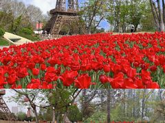 -祥源·阜阳生态乐园