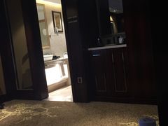-合肥丰大国际大酒店