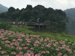 -广州市石门国家森林公园