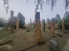 -石家庄市植物园