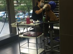-宠宠熊宠物美容(星湖街店)