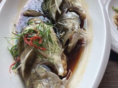 -羡餐厅·杭帮菜·淳菜(千岛湖自由洲际殿店)