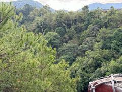 -广州白江湖森林公园