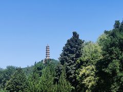 -北坞公园