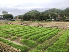 -红山村