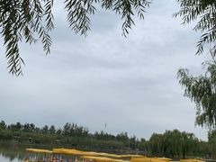 -杨柳青庄园